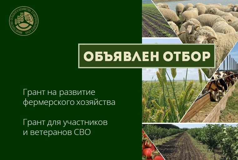 Министерство сельского хозяйства Ставропольского края проводит отбор по предоставлению ...