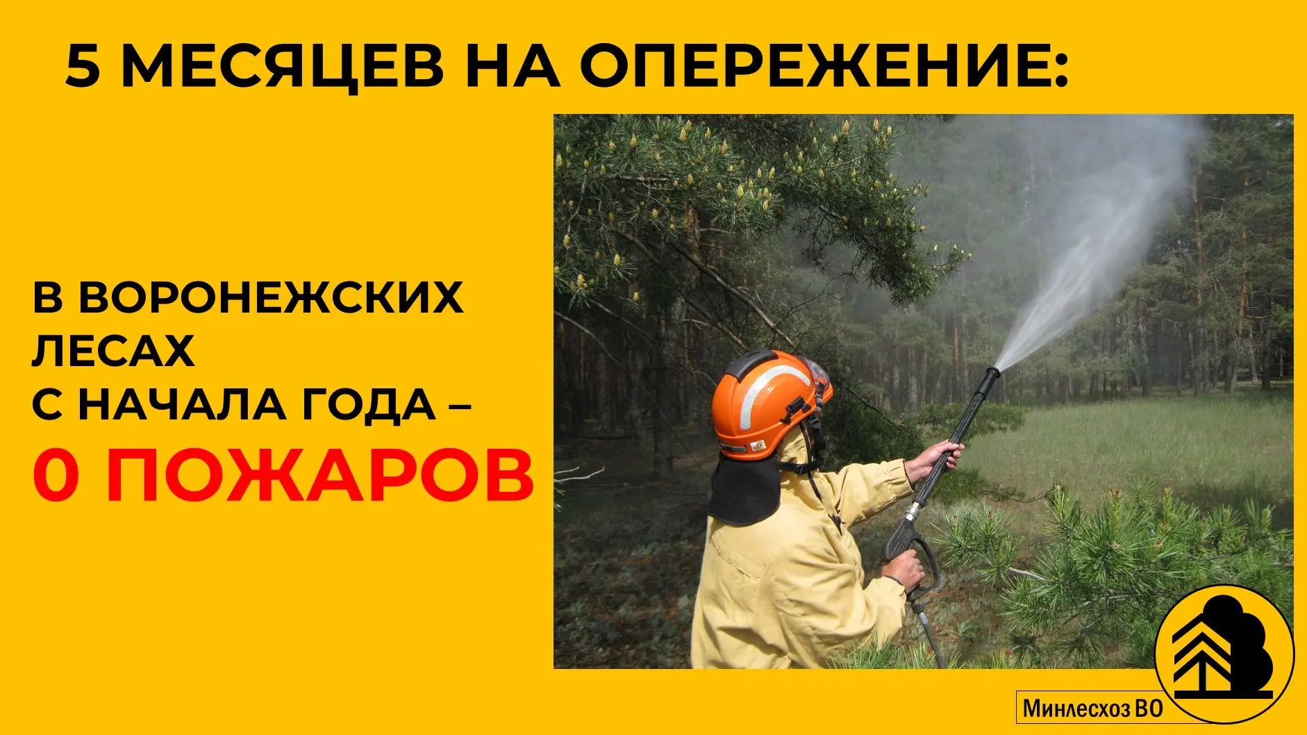 🚫 🔥С начала года на землях лесного фонда Воронежской области не допущено ни одного ле...