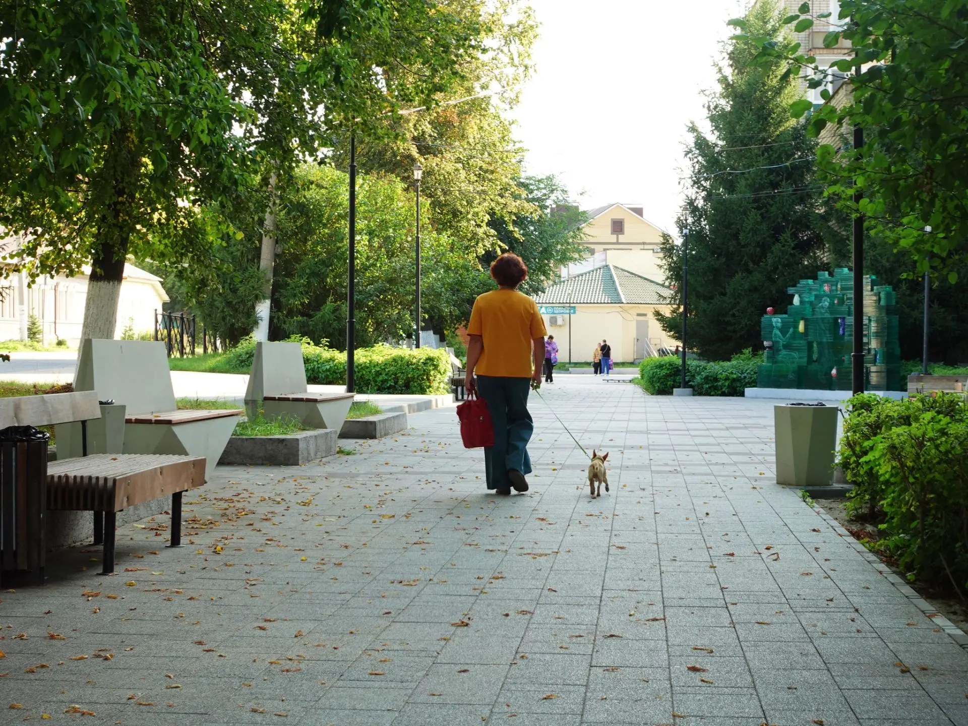 Первые дни осени на фотографиях с улицы Заводская города Никольска.