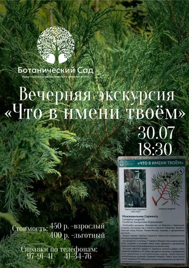 🌿 «Что в имени твоём?» — раскроем тайны ботанических имён