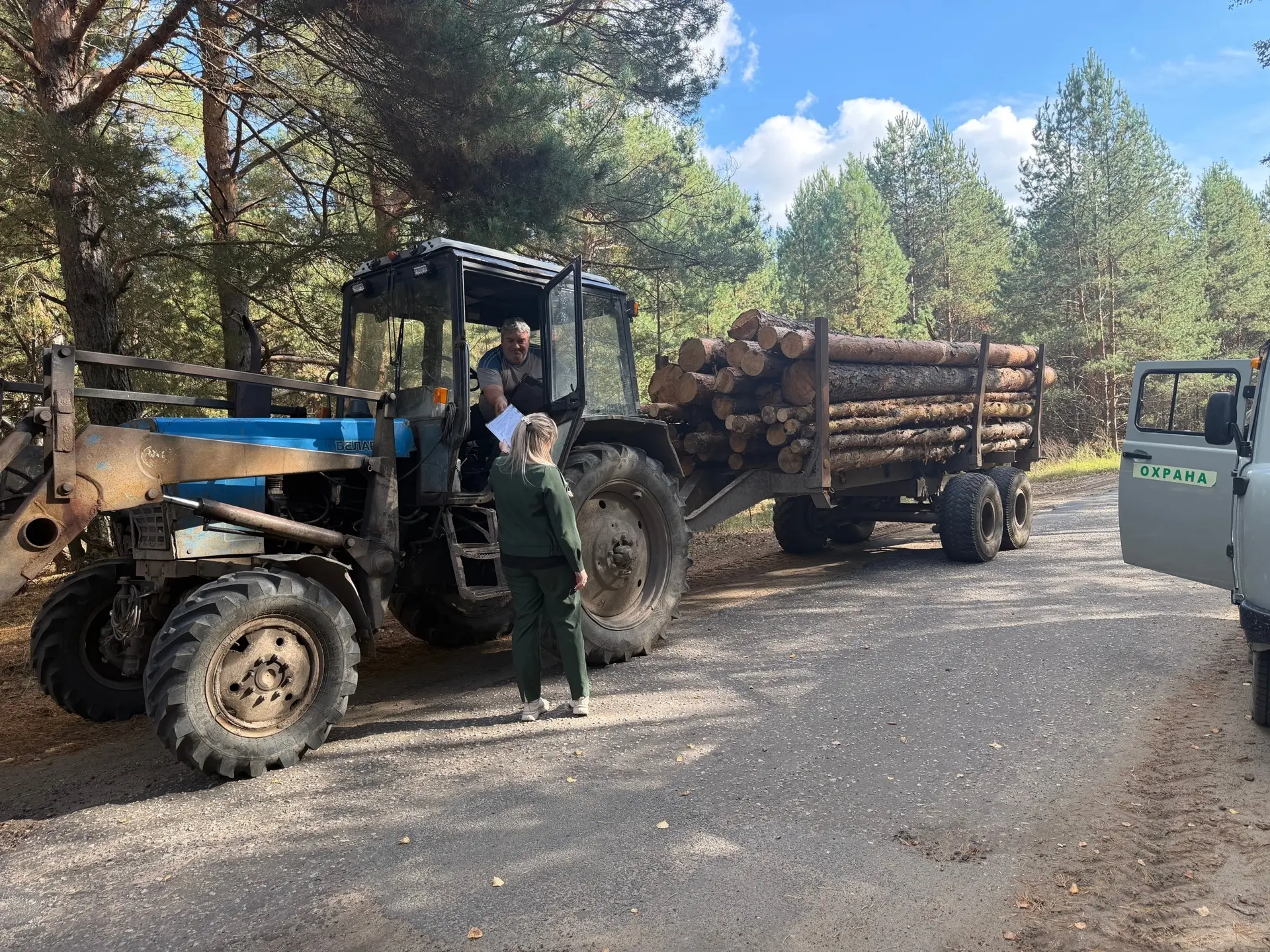🌲 Внимание, лесозаготовители!🌲
