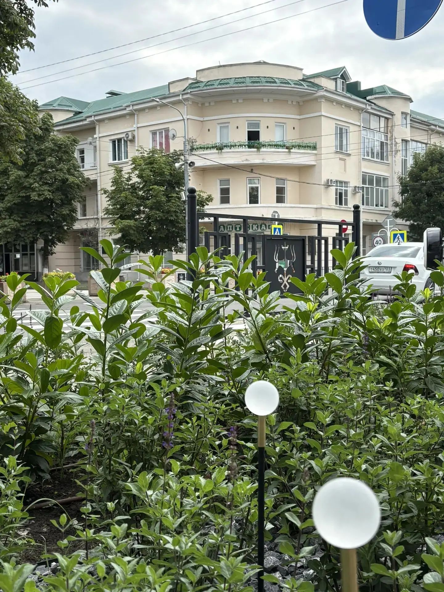 🌥 Суббота в Майкопе будет облачной и без осадков.