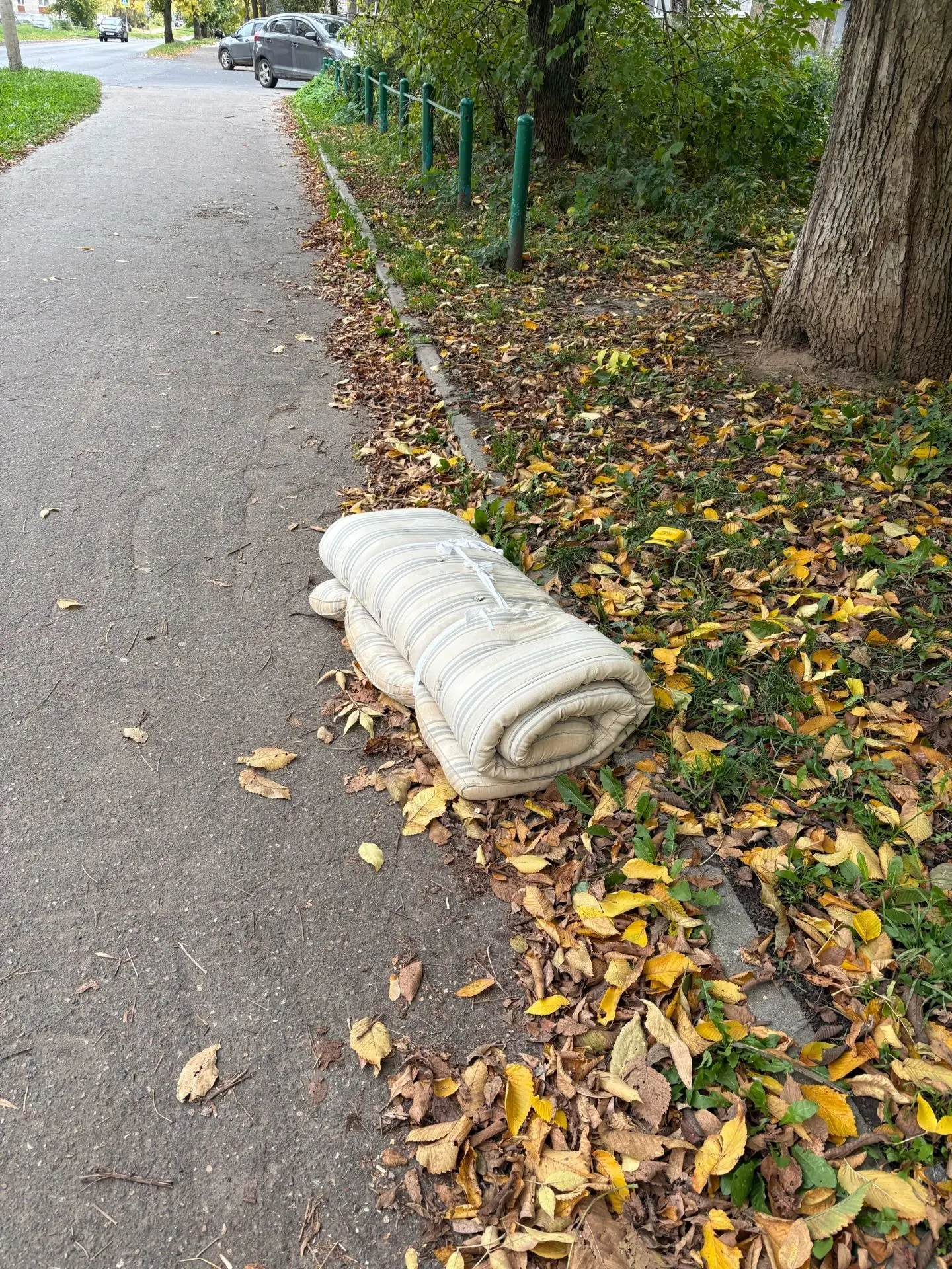 Спальное место никому не нужно? Могу адресок подсказать 😉