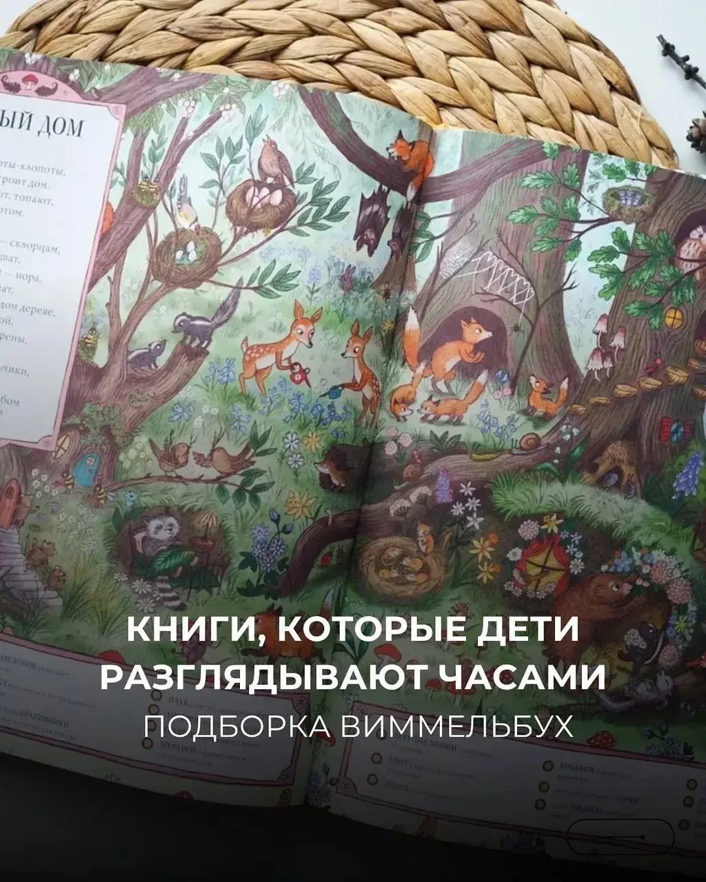 📚Что такое виммельбухи и почему дети так их любят?