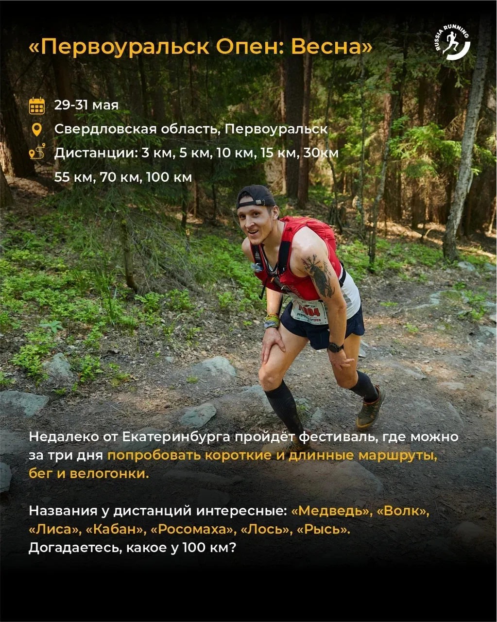 🌳  Нашли на russiarunning.com несколько трейлов для любителей грунтовых троп, лесов, свежего воздуха