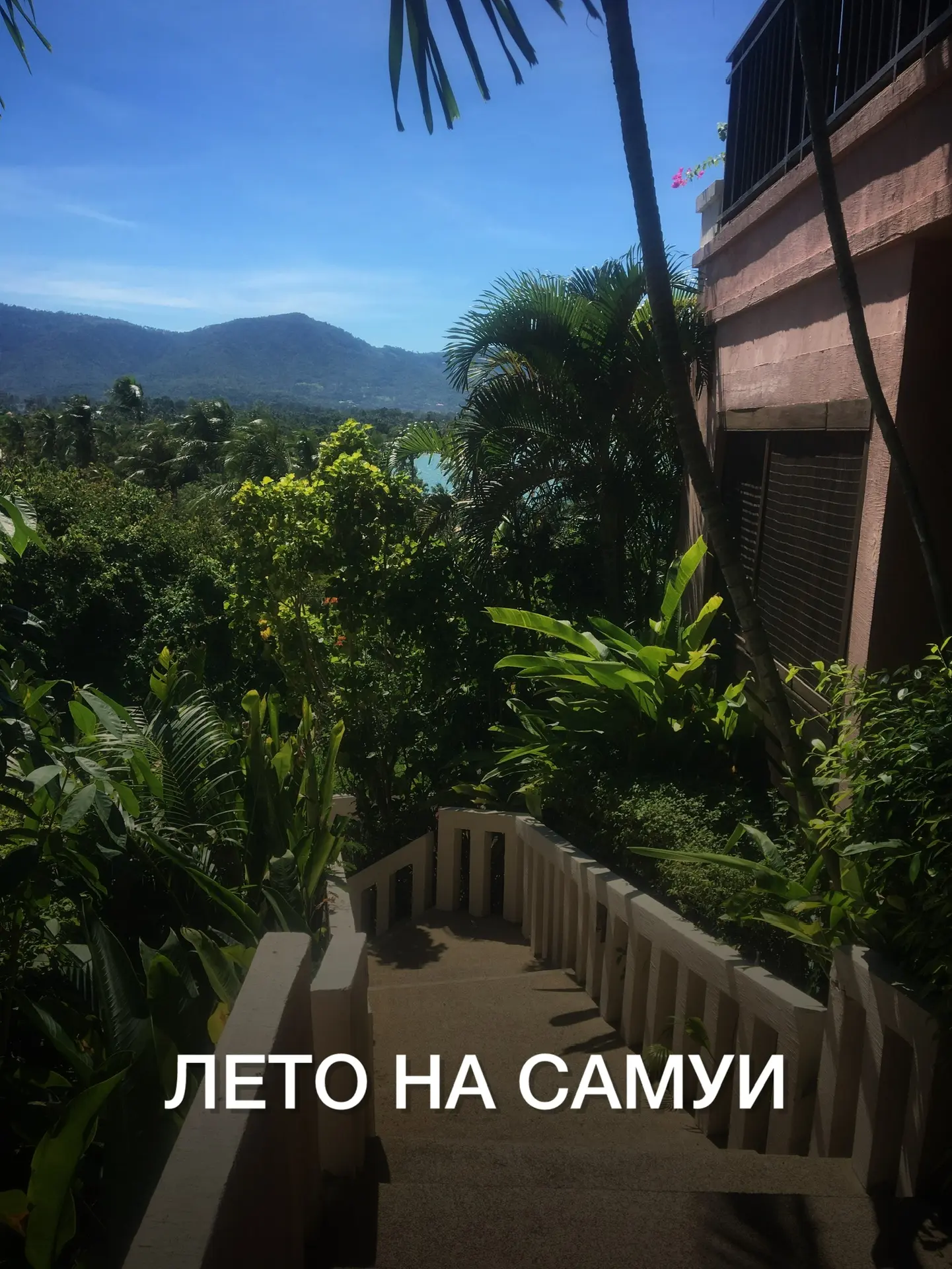🍉ЛЕТО НА САМУИ