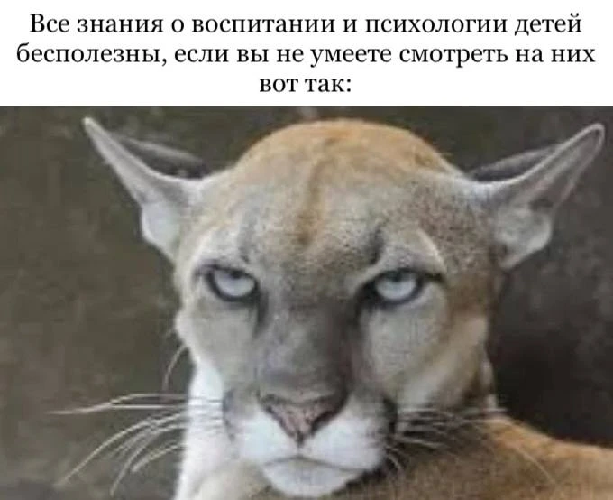 Вишенка на Торте
