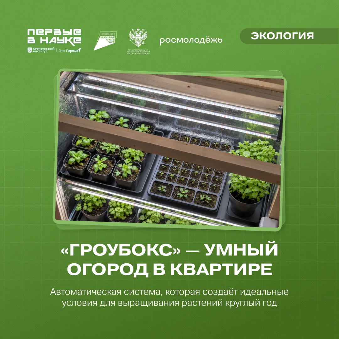 🌱 Технологичный огород на подоконнике — фантастика? Это реальность!