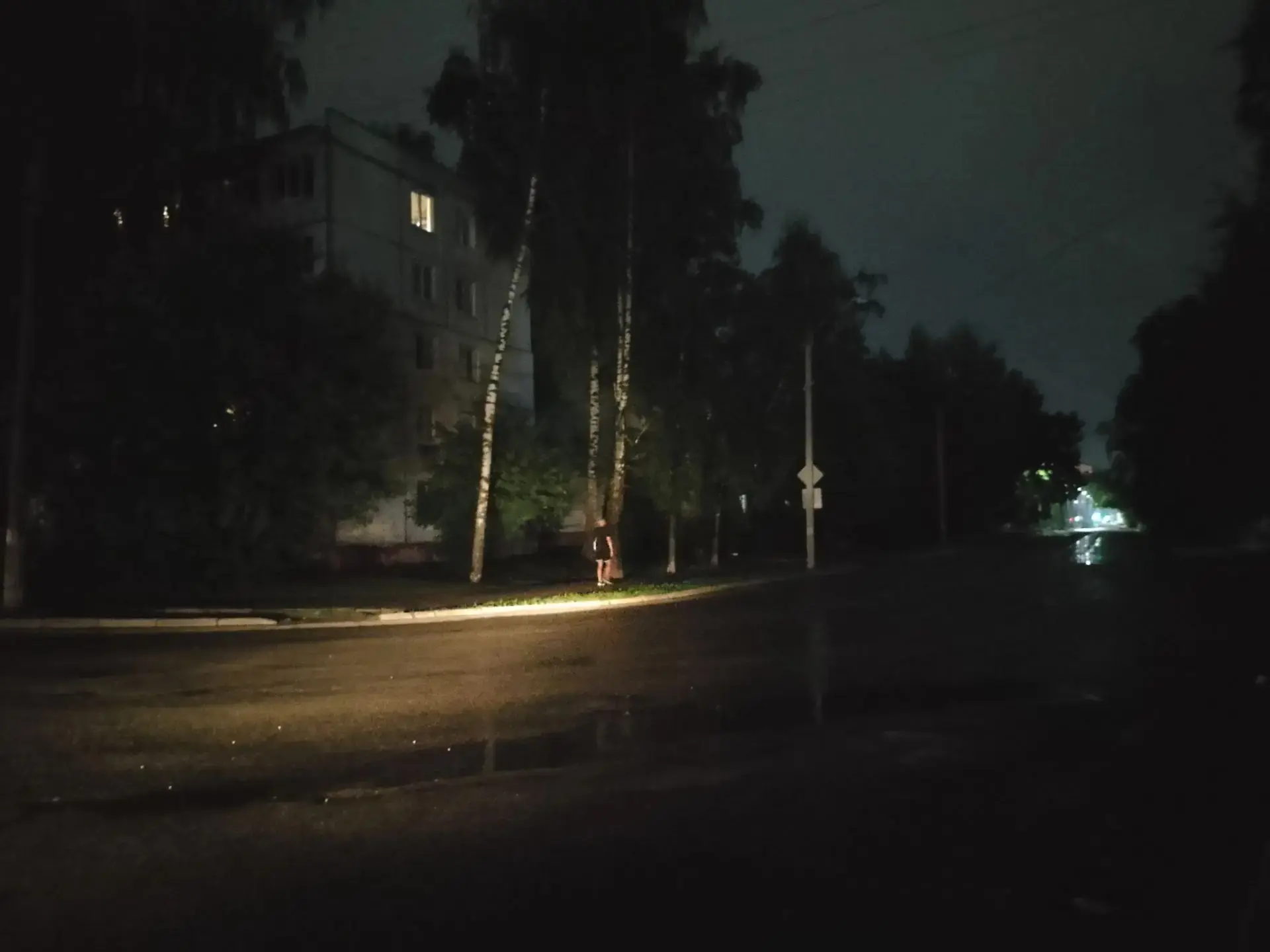 На автопилоте  проскочил давеча ночью пересечение переулка Пилотов и Костычева ваш дежу...