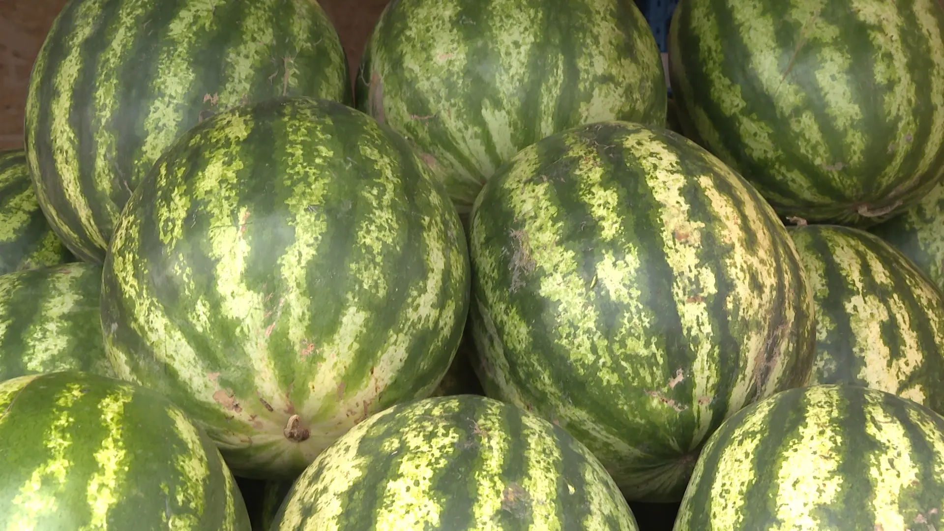 🍉 Польза арбуза для организма

Арбуз — ценный источник витаминов и минералов, которые поддерживают 