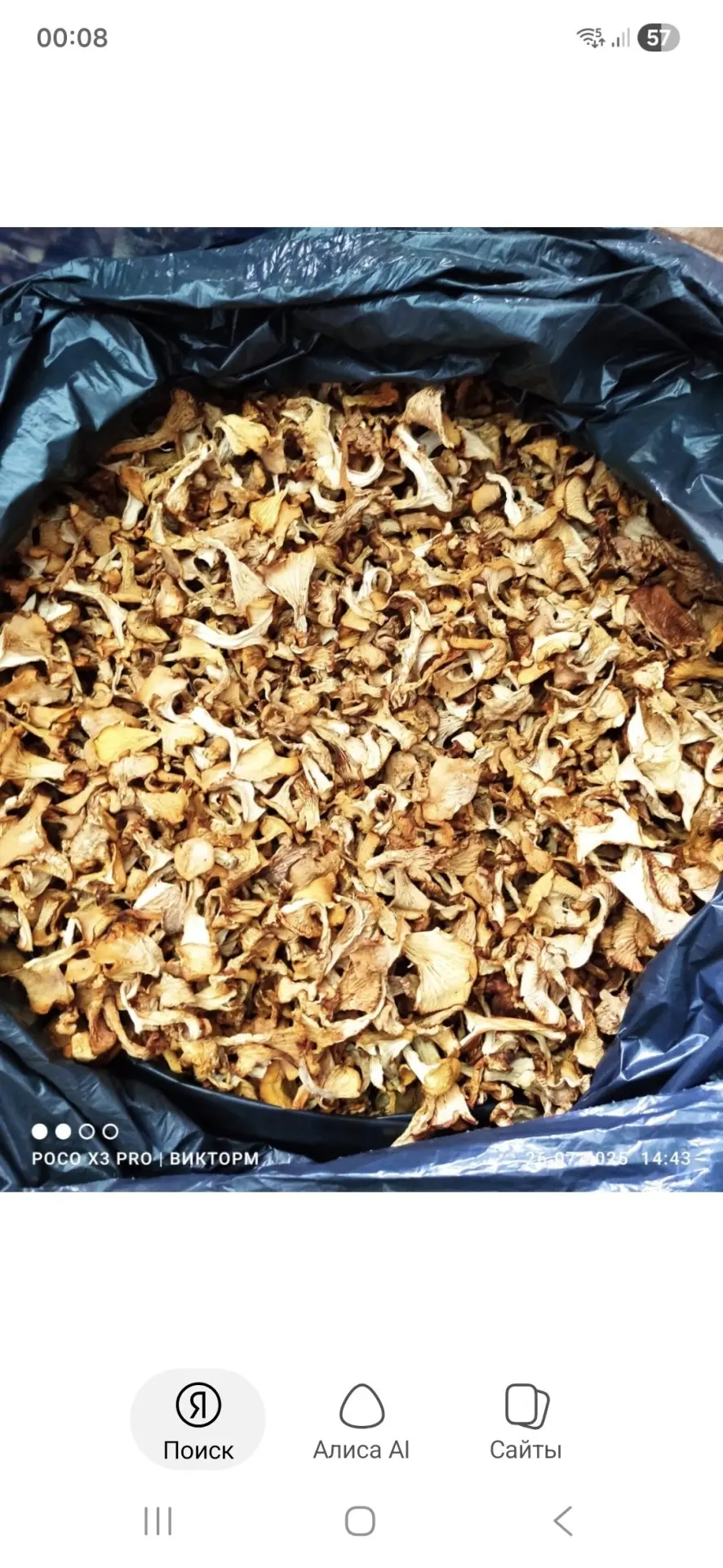 Лисичка сушёная, хорошего качества. На остатке 2.5-3кг.
1кг-3500р
89212569898
Вологодская область Че