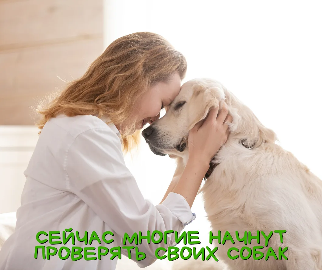 Сейчас многие начнут проверять своих собак