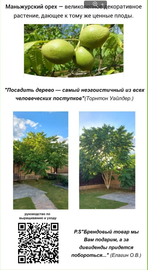 "Барахолка"