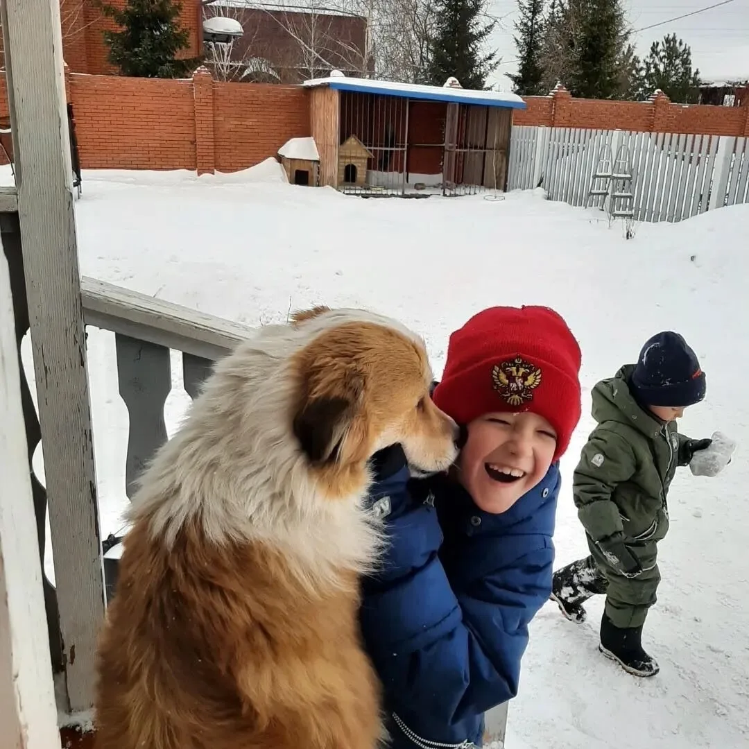 🐾 Не разлей вода! У нашего Проши появился новый лучший друг! ❤  🥰 Помните этого большого и солнечног