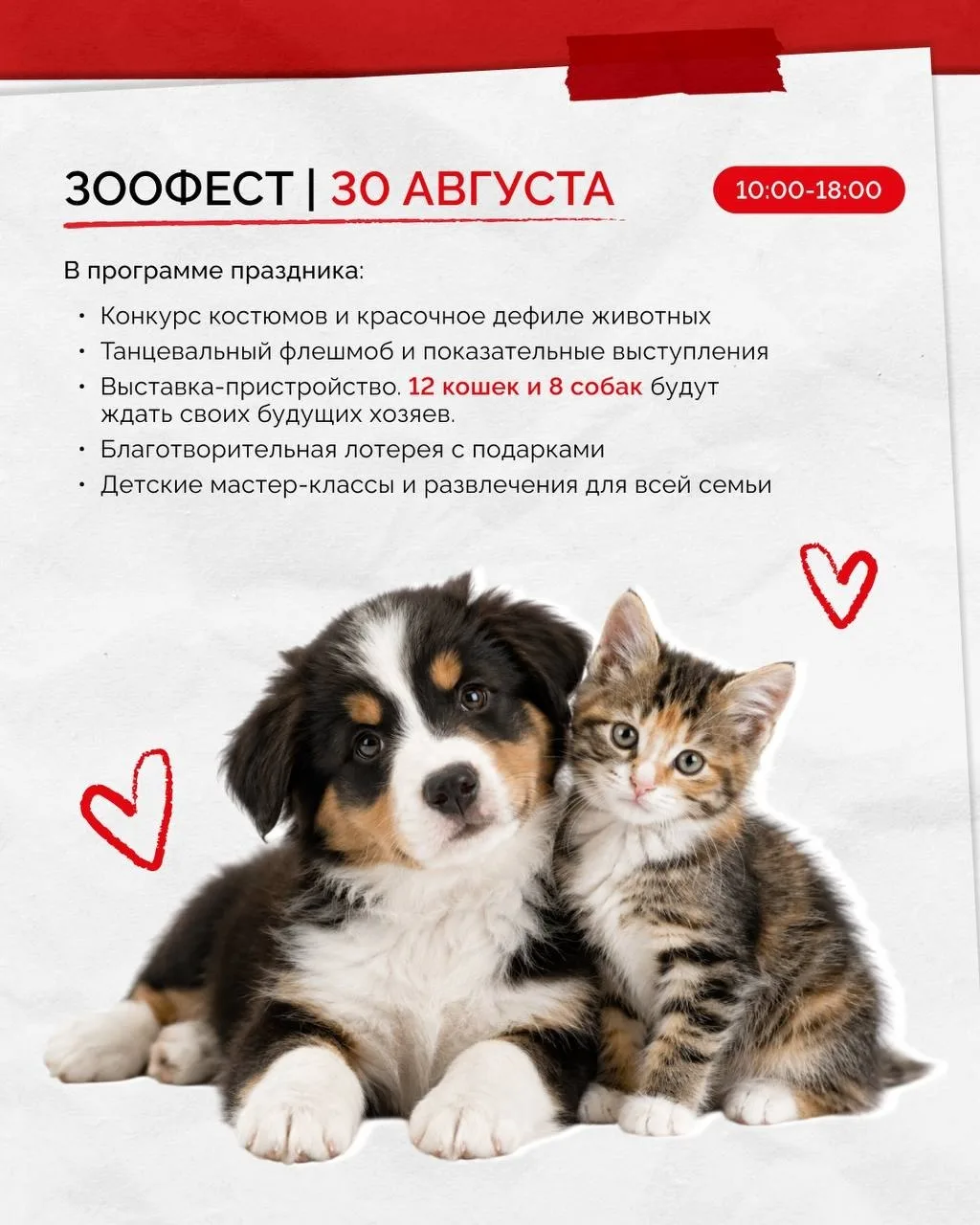 30 августа в ТРЦ Красный Кит (Мытищи) пройдет фестиваль Зоофест.