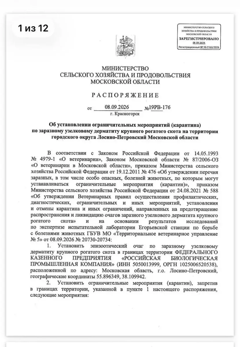 📍 Фрязино попало в зону карантина из-за болезни скота