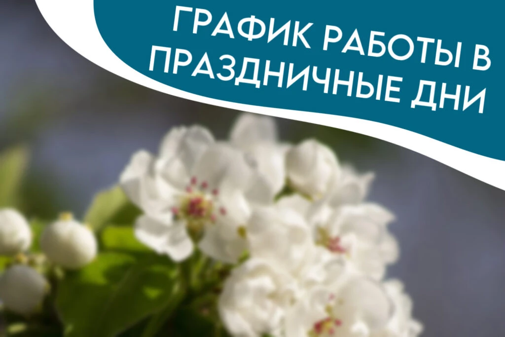 График работы ГБУЗ СО «Кинельская ЦРБ»  с 01.05.-03.05.26 и 09.05.-11.05.26