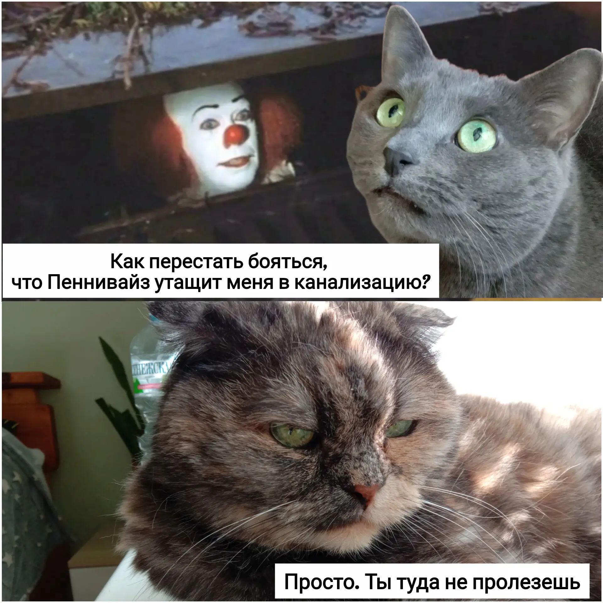 Минус одна фобия😄