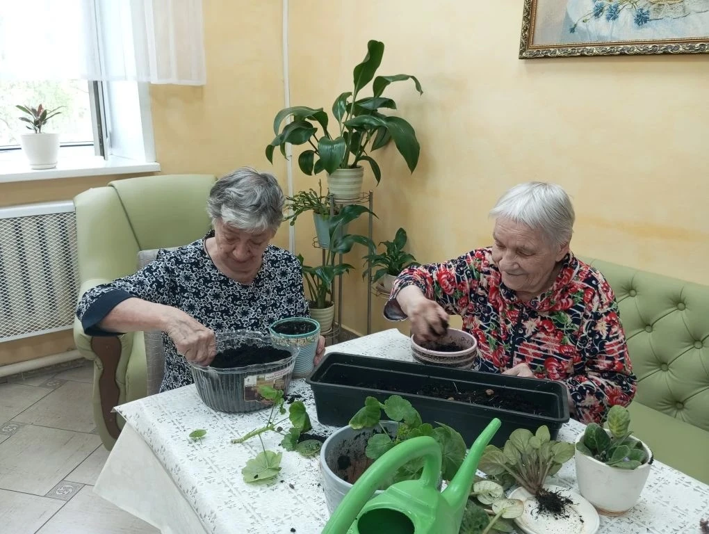 Практическое занятие «Пересадка комнатных растений»