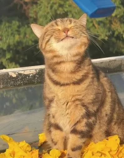 ⛅️Ну что, кузбассовцы, ещё денёк греемся?