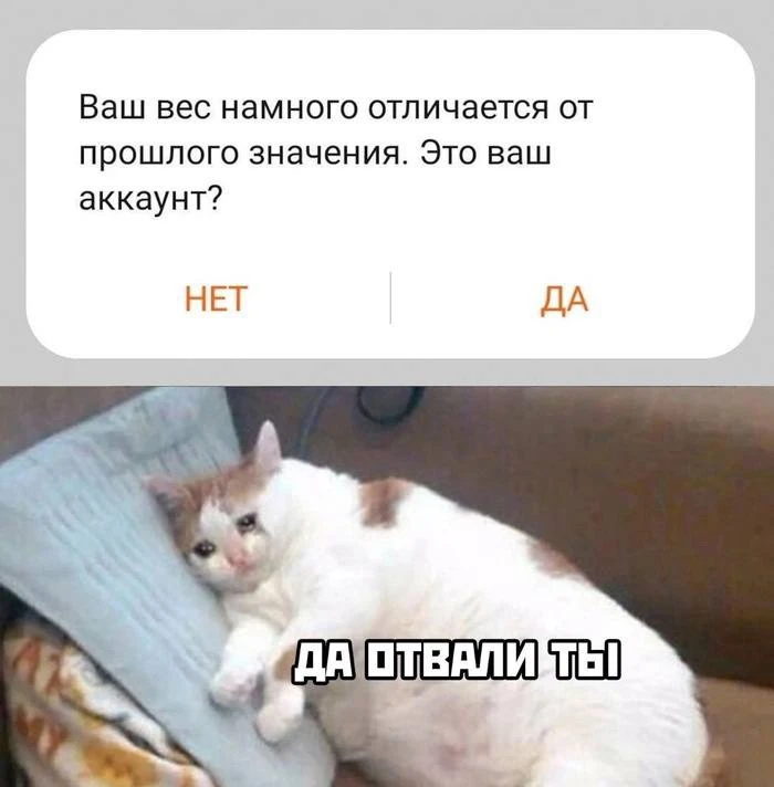 ПАМЯТЬ ГЕНОВ

Я обещал написать ноу-хау с ежегодного европейского съезда гормонологов, где впервые-т