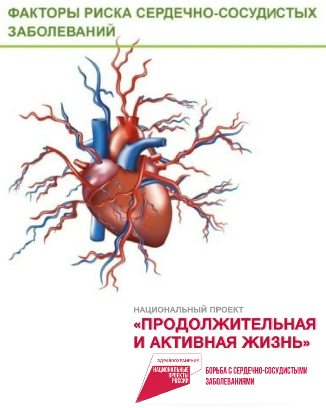 ➡️ Факторы риска сердечно сосудистых заболеваний: что мы можем изменить, а что — нет»

С целью увели