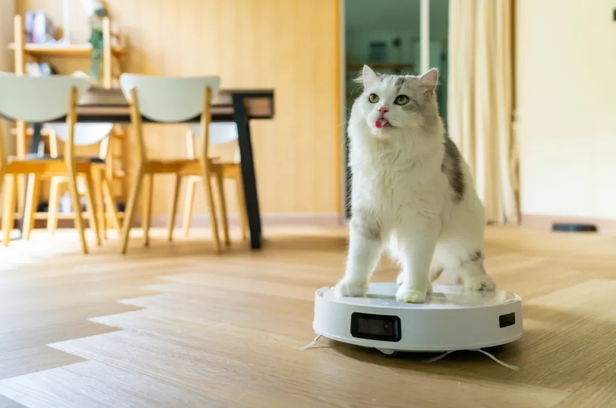 🐾У животных тоже есть индивидуальность

Масштабные исследования доказали: индивидуальность у зверей