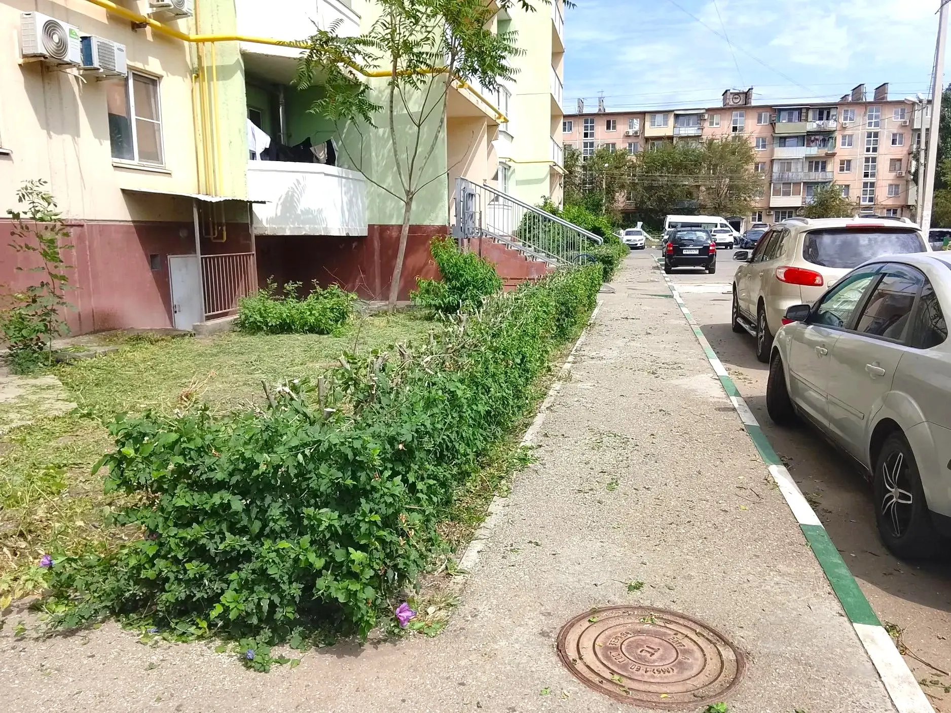 К новости «✂️ 🌿 Форма имеет значение:»