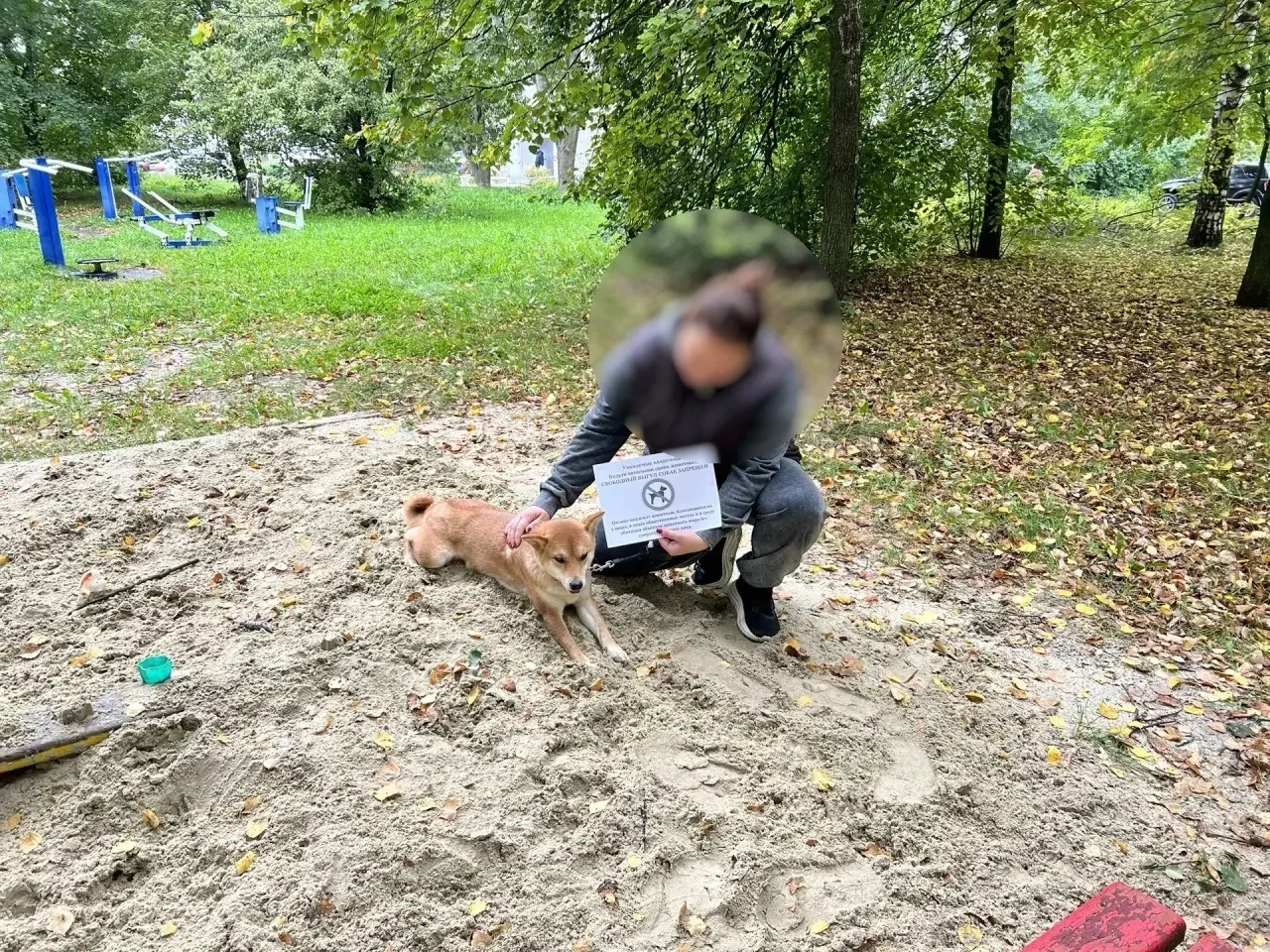 🐾 В сквере «Северный венец» пресекли бесконтрольный выгул животных