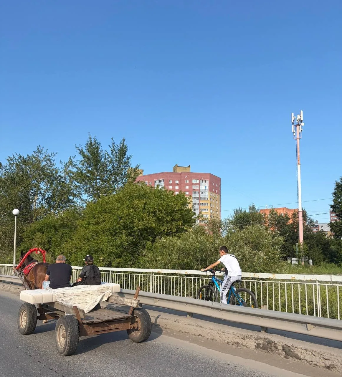 Изображение 1 к публикации «Тюмень в курсе / Новости Тюменская область: Тобольск, Ишим, Ялуторовск, Заводоуковск»