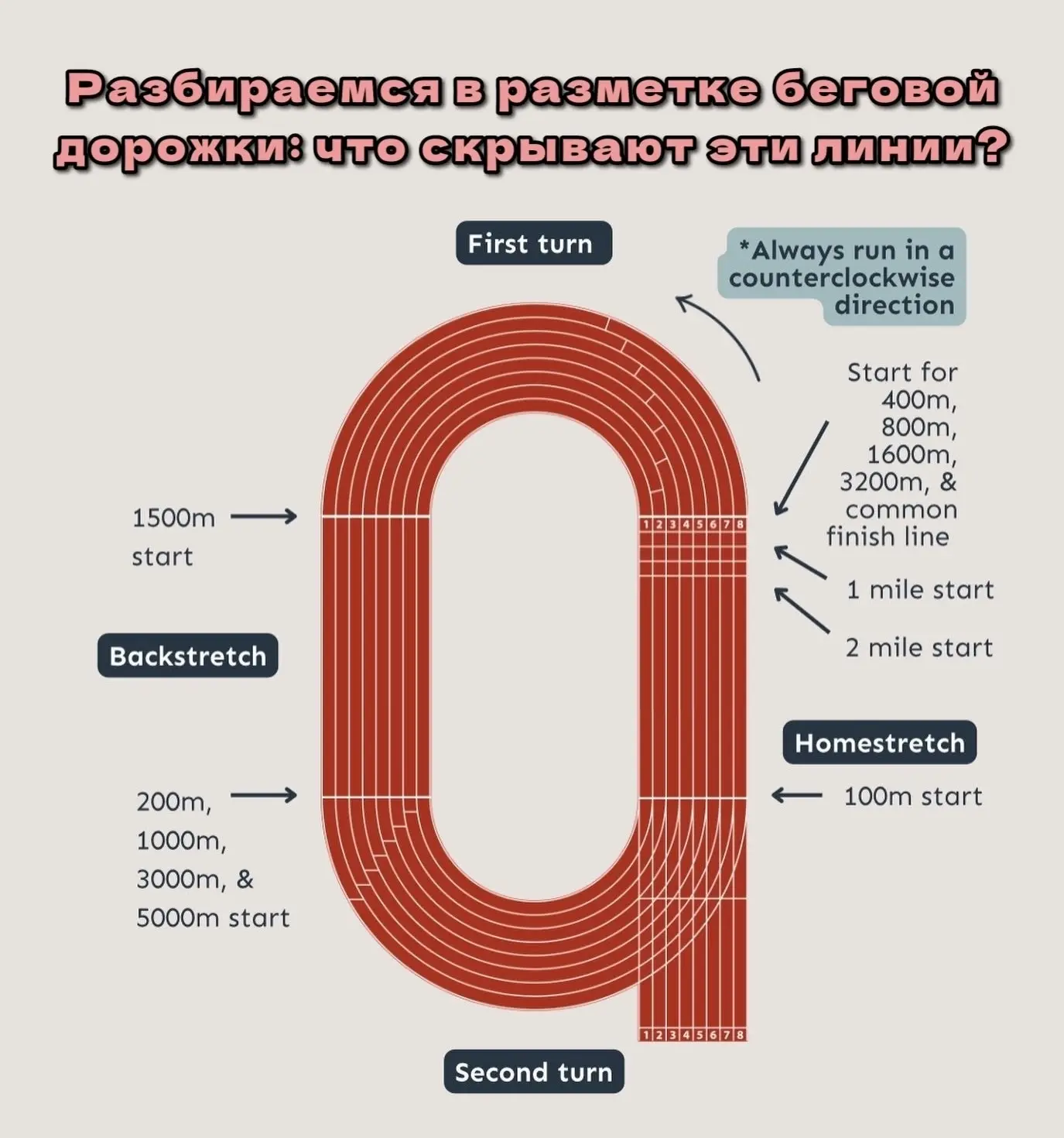 🏃‍♂ Разбираемся в разметке беговой дорожки: что скрывают эти линии?
