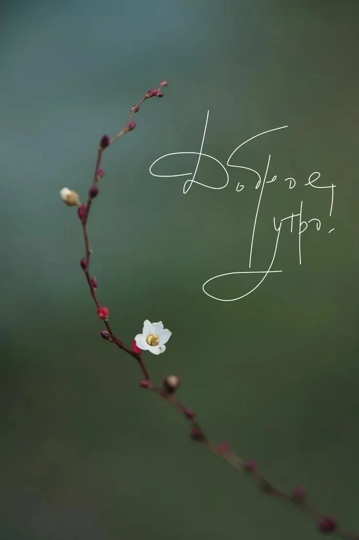 🌺 Доброе утро!

Пусть этот день подарит вам спокойствие, хорошее настроение и как можно больше прия