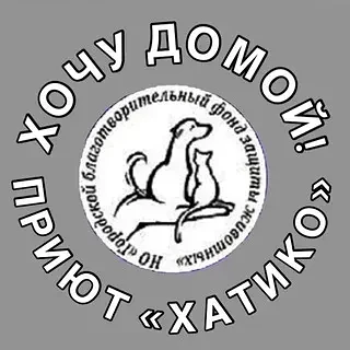 Про отлов бродячих животных.    Муниципальный контракт на отлов и содержание в приюте ж...