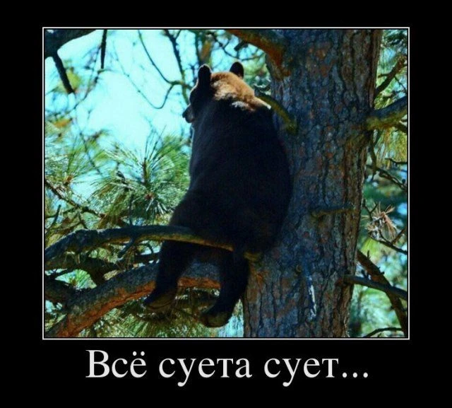 Минутка юмора