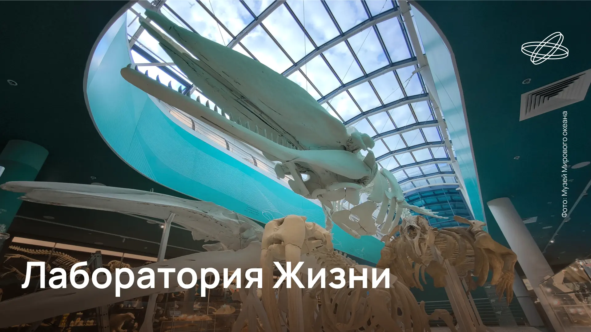 Музей Мирового океана в Калининграде открыл новое пространство центра «Планета Океан». ...