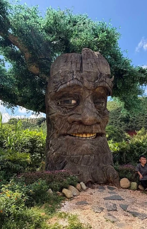 🧙‍♂️🌲 Сказка в 20 км от Далата.

Представьте... вы идёте по сосновому лесу, за поворотом холм, а в