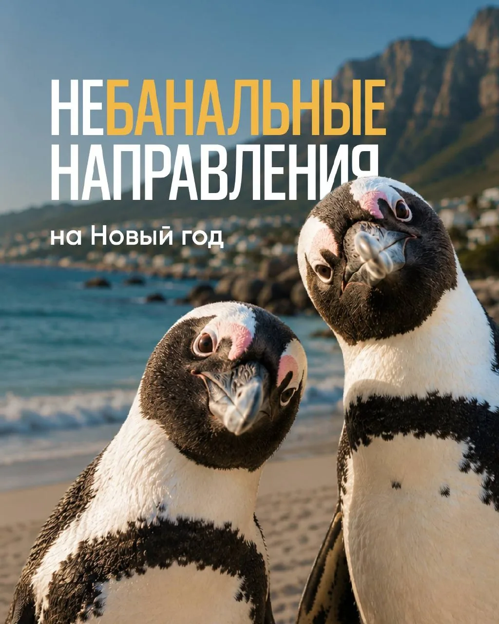 🎄 Считаете, что Мальдивы или Дубай на Новый год это банально?
