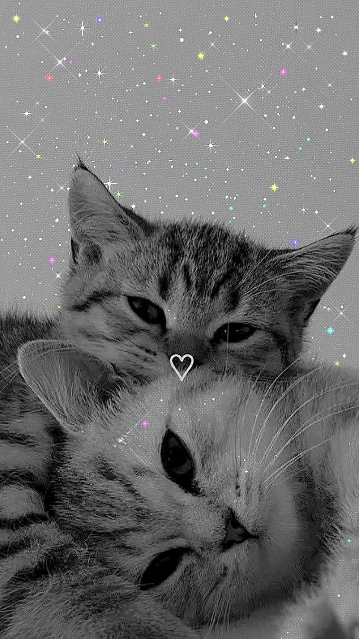 Романтичные обои 💋