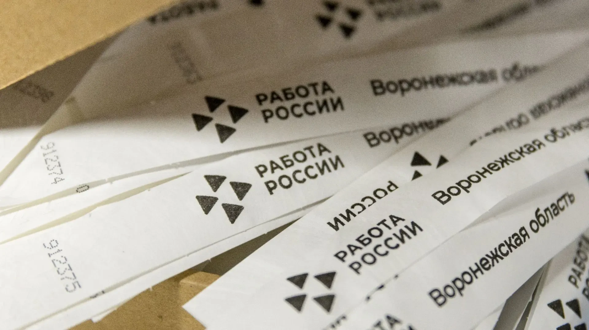 🏆 Воронежская область вышла в финал конкурса профмастерства