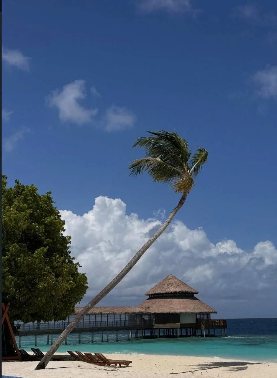 Начинаем это утро с красивого отзыва от наших туристов о Мальдивах 🥰

Reethi Faru Resort 4*
• вкусн