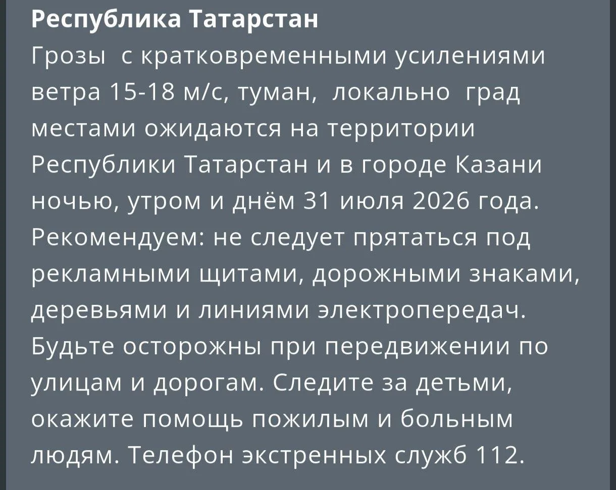 ⚠️ Татарстан накроют грозы и сильный ветер

Ночью, утром и днём 31 июля в Татарстане и Казани ожидаю