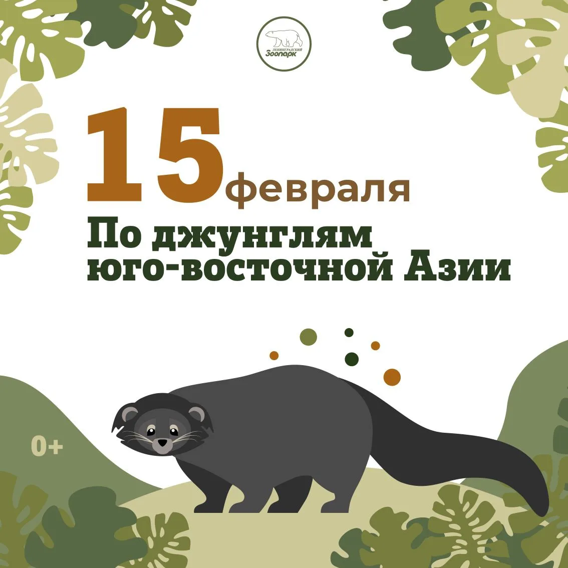 15 февраля – По джунглям Юго-Восточной Азии🐍  Джунгли юго-восточной Азии – один из богатых жизнью уг