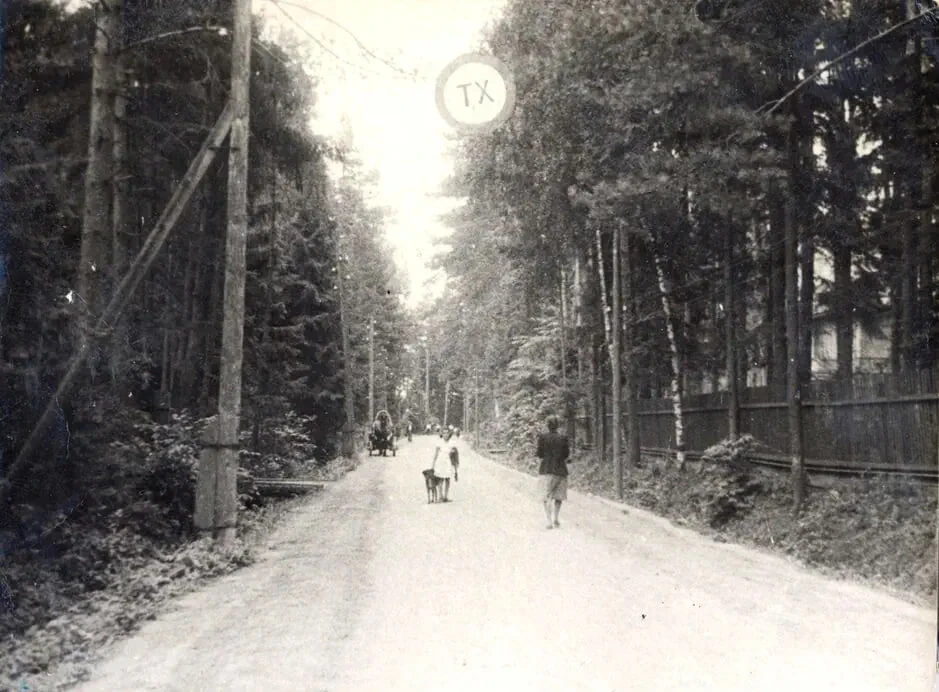 5-я улица Лазенки, 1947 год. Грунтовая дорога через лес, деревянные столбы с проводами,...