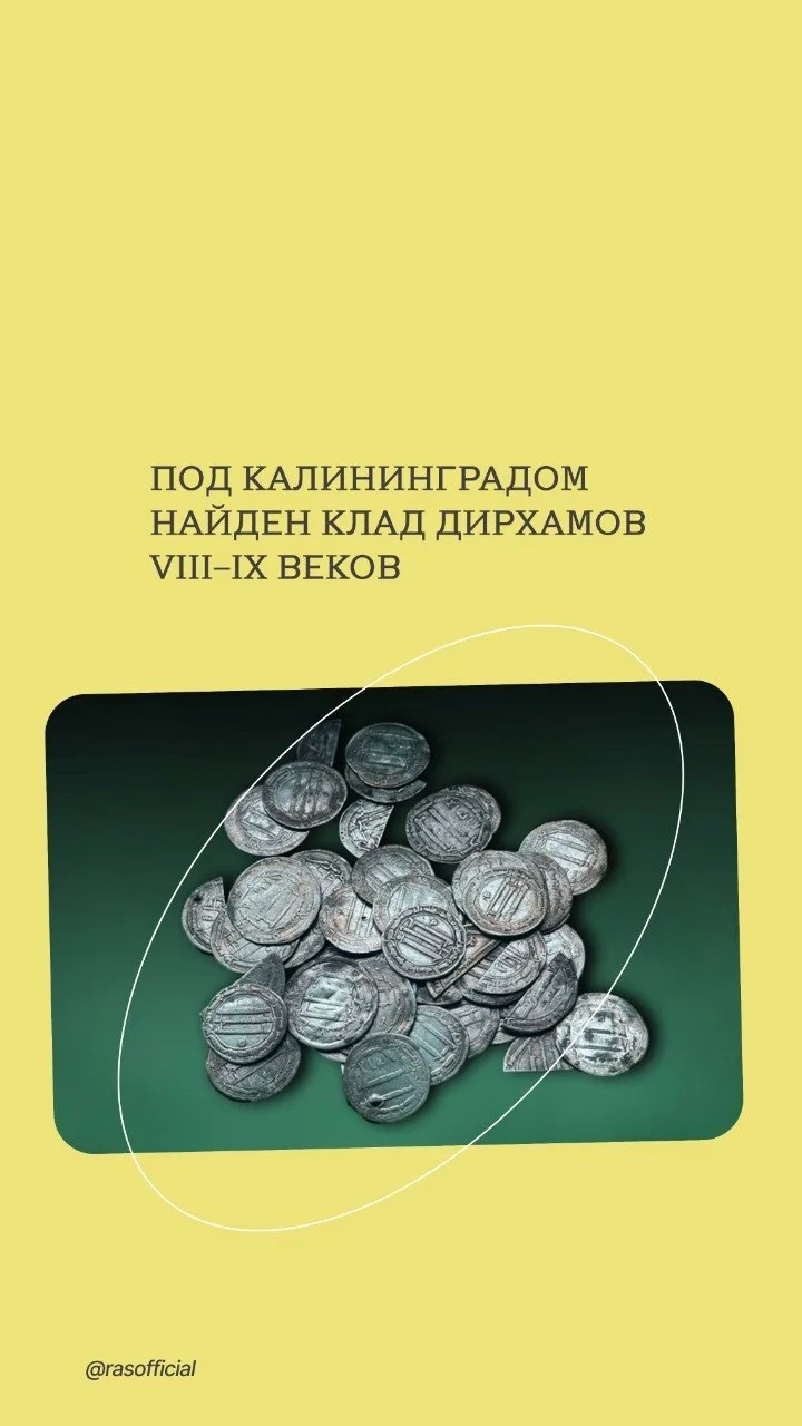Под Калининградом найден клад дирхамов VIII-IX веков. Археологи Института археологии РАН выявили 59 