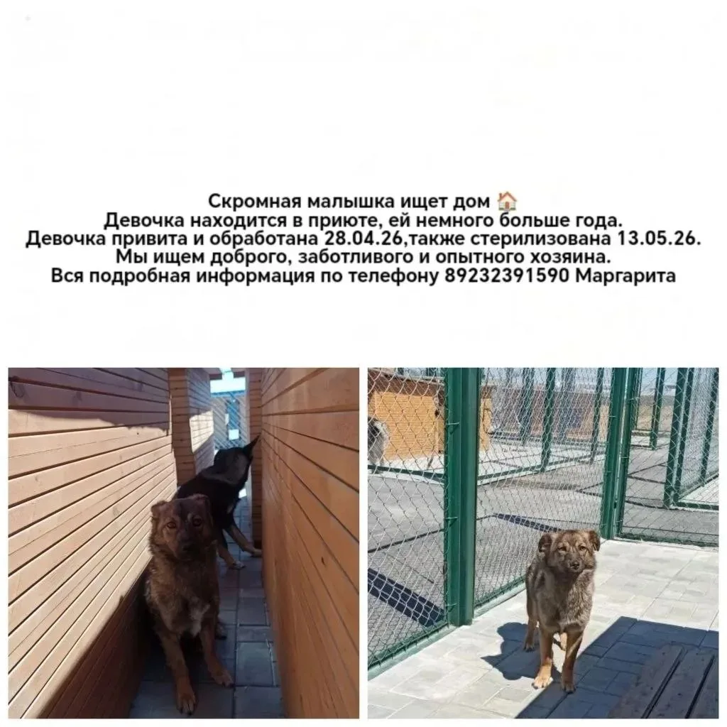 Скромная малышка ищет дом 🏠