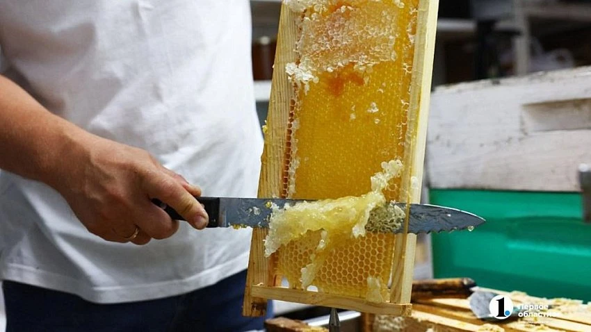🐝 За год розничные цены на мед выросли по России на 13%