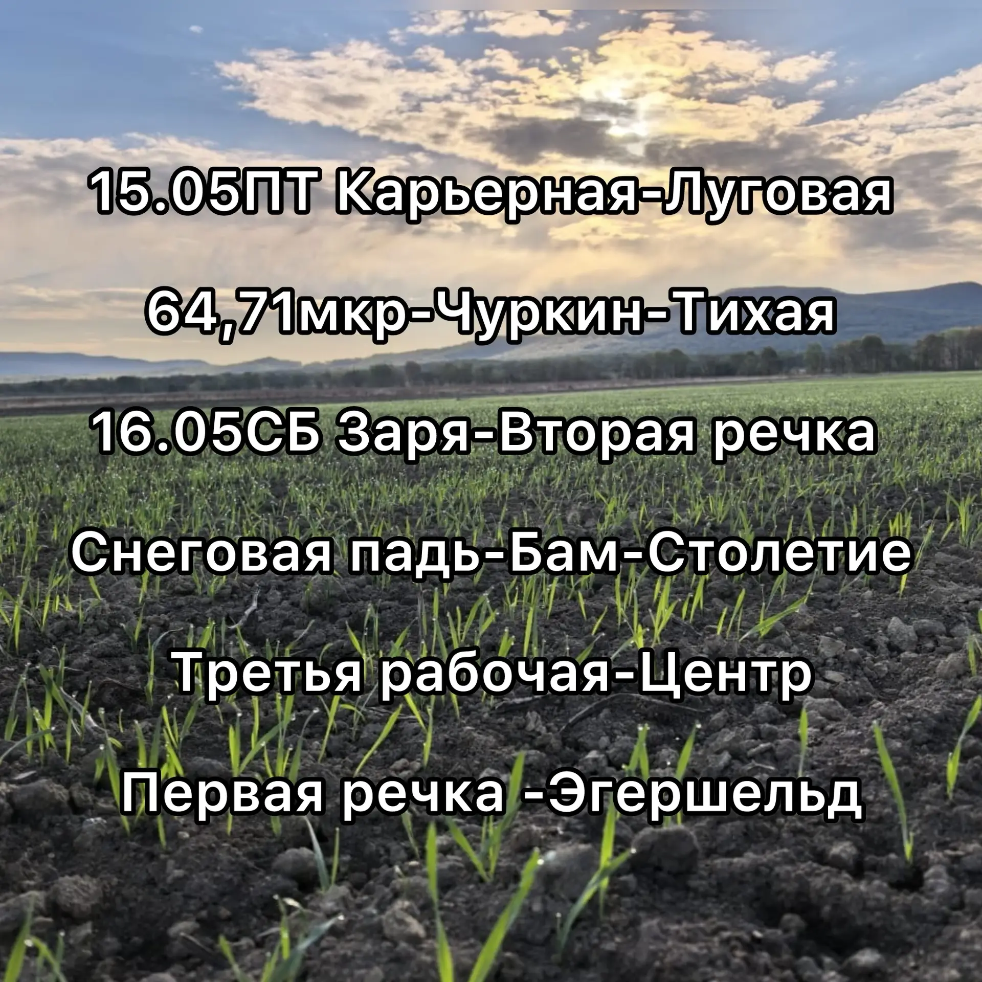Доброе утро! Даты доставки на ближайшие дни