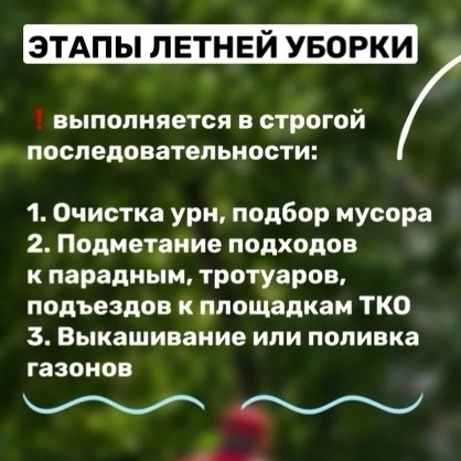 Летняя уборка дворов в Петербурге: как это работает по регламенту  - читайте в карточках, подготовле
