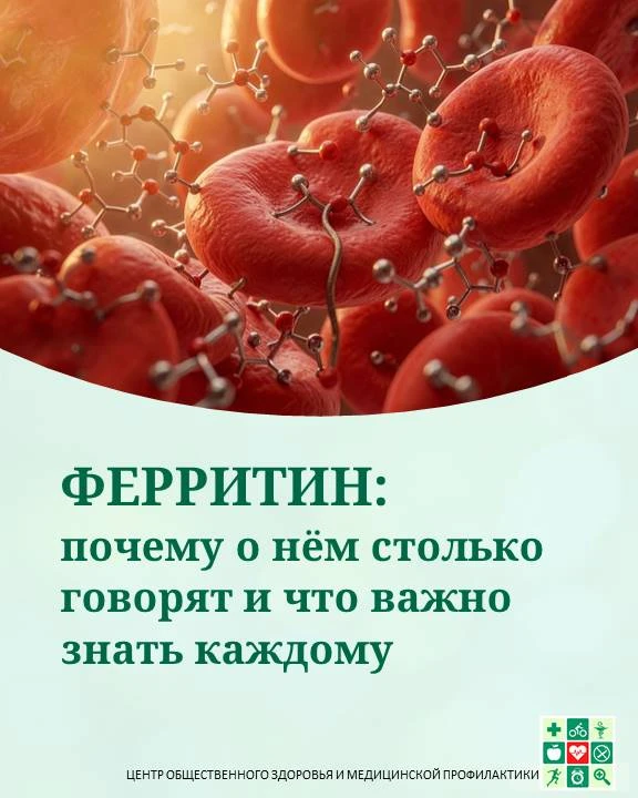 «Ферритин: почему о нём столько говорят и что важно знать каждому»