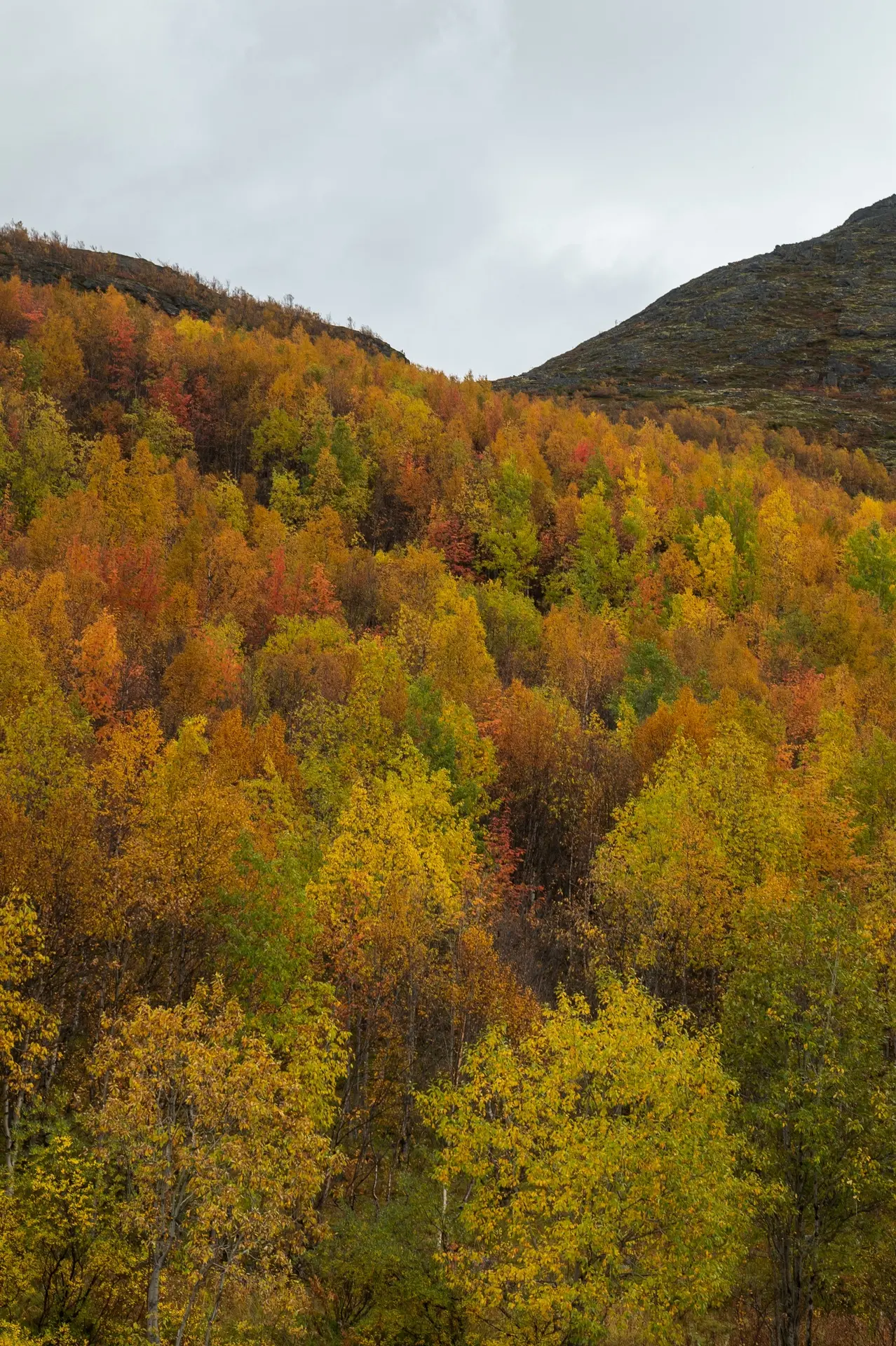 Осень в Хибинах🍁